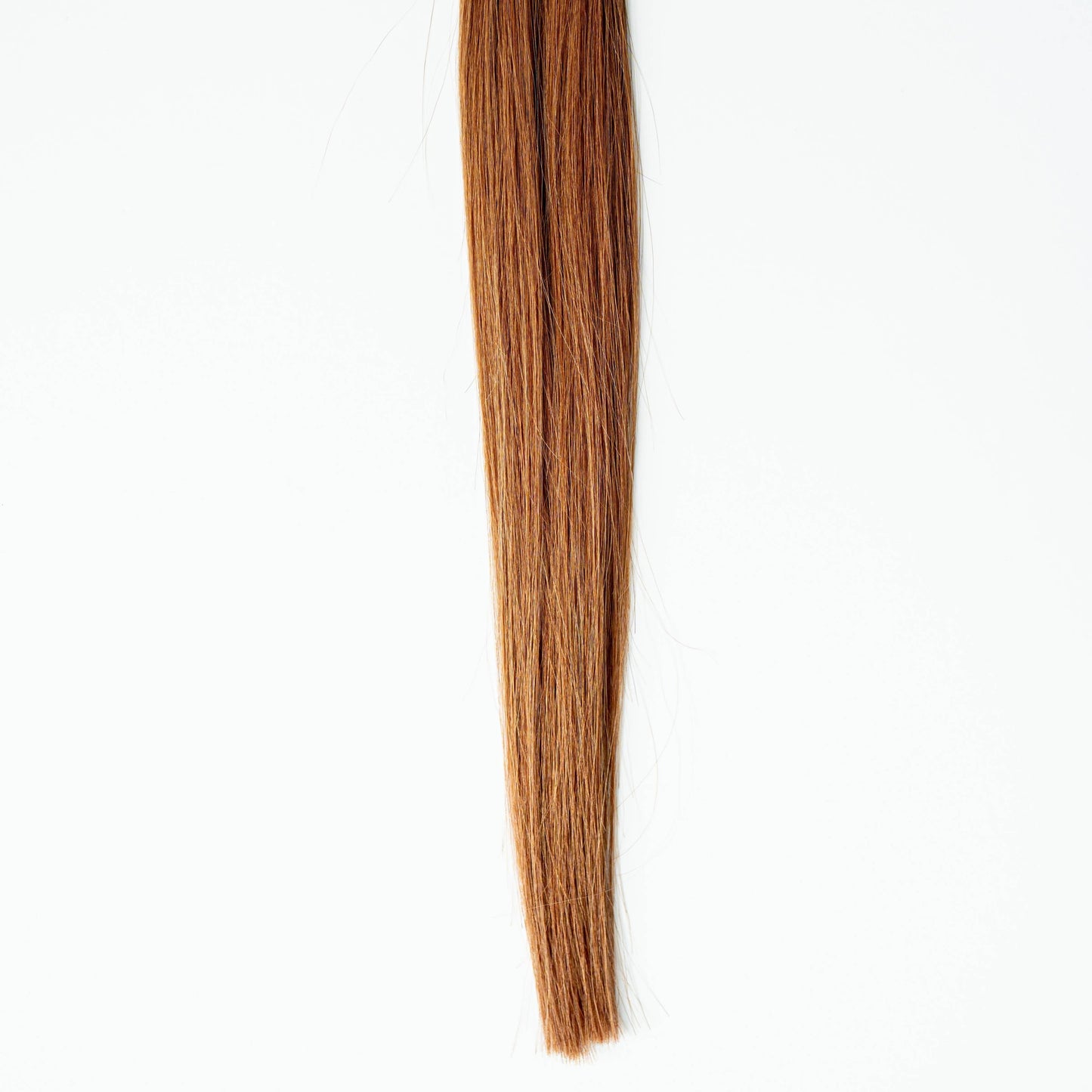 Elizabeth | Strong Strands Strong Hybrid Extensions